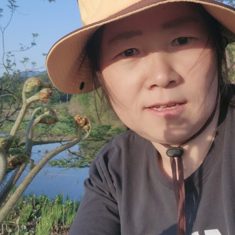약수누룽지,직접 수확한 건고사리 100g