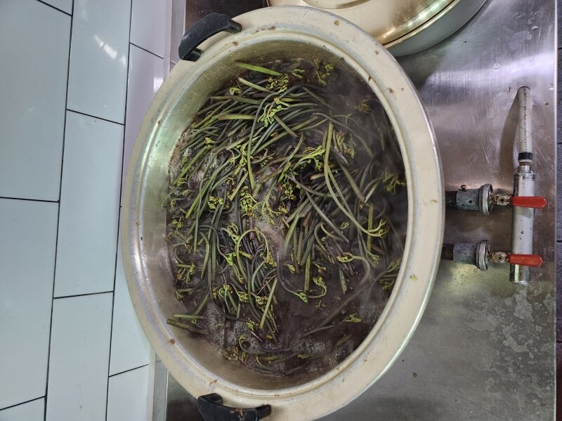 약수누룽지,직접 수확한 건고사리 100g